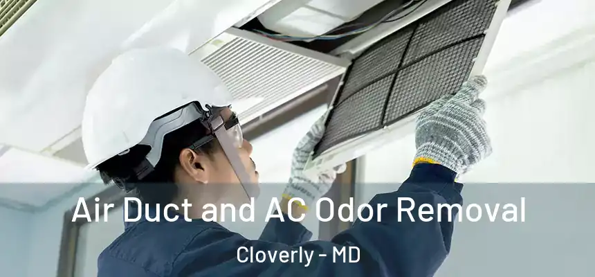  Air Duct and AC Odor Removal Cloverly - MD