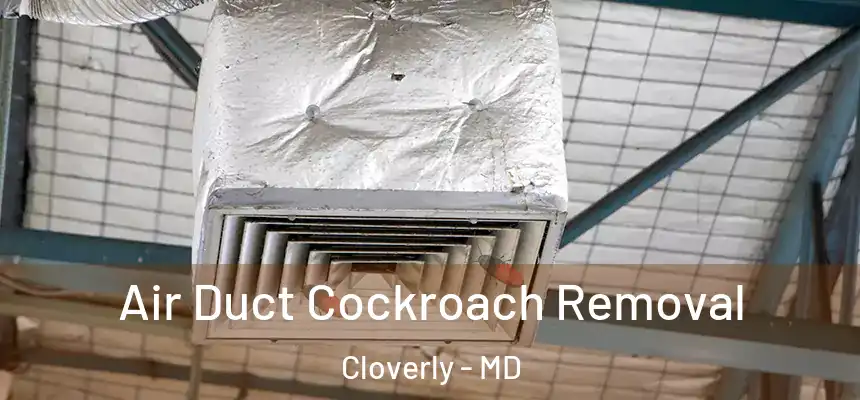  Air Duct Cockroach Removal Cloverly - MD
