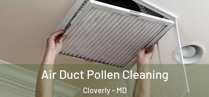 Air Duct Pollen Cleaning Cloverly - MD