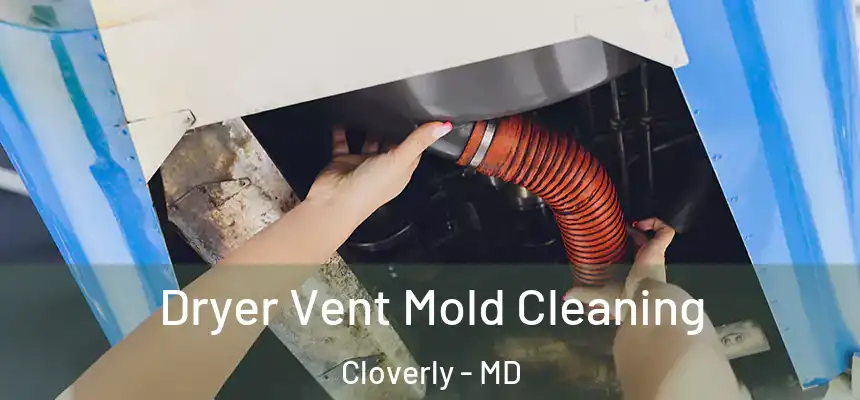  Dryer Vent Mold Cleaning Cloverly - MD