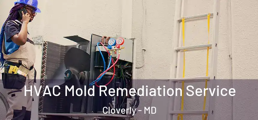  HVAC Mold Remediation Service Cloverly - MD