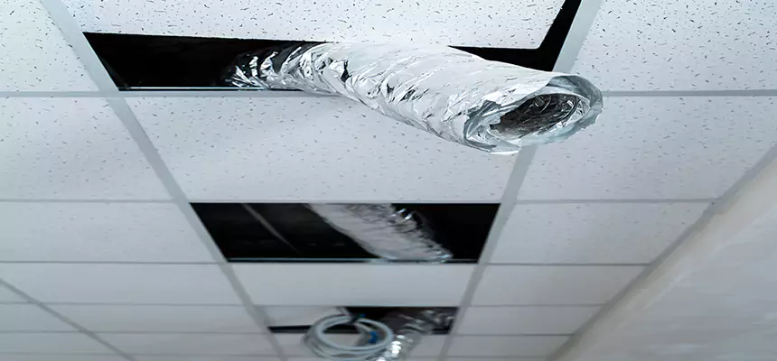 Our Air Duct Pet Hair Removal Services in Cloverly, MD