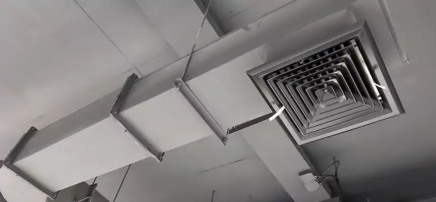 Our Pest Removal From Ducts Services in Cloverly, MD