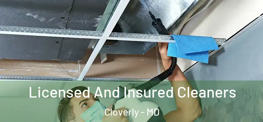  Licensed And Insured Cleaners Cloverly - MD