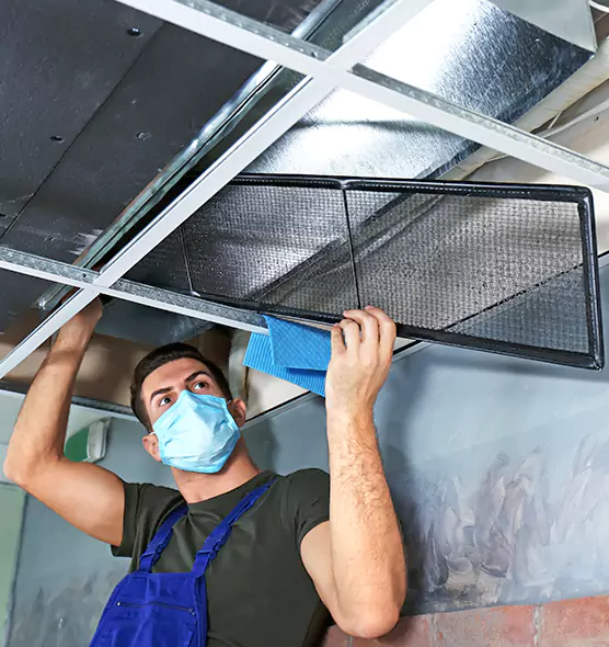 About Air Duct Bacteria Removal in Cloverly
