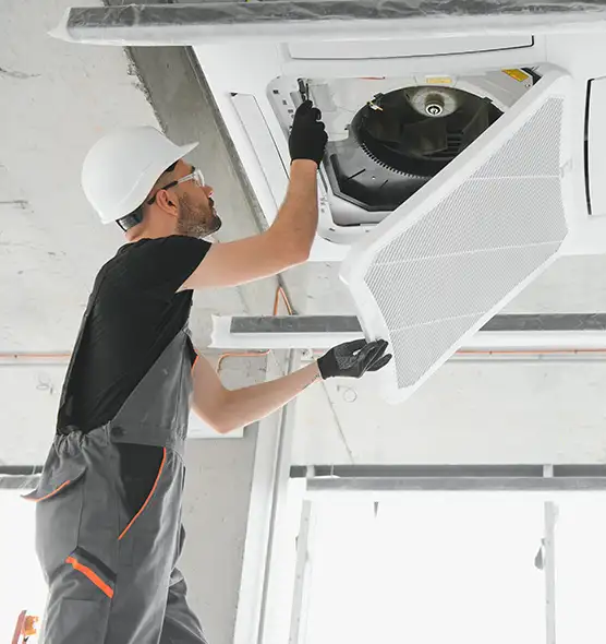 About Air Duct Rodent Removal in Cloverly, MD