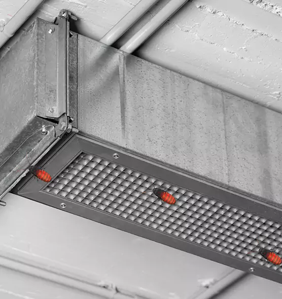 Affordable Insect Removal from Air Ducts in Cloverly, MD