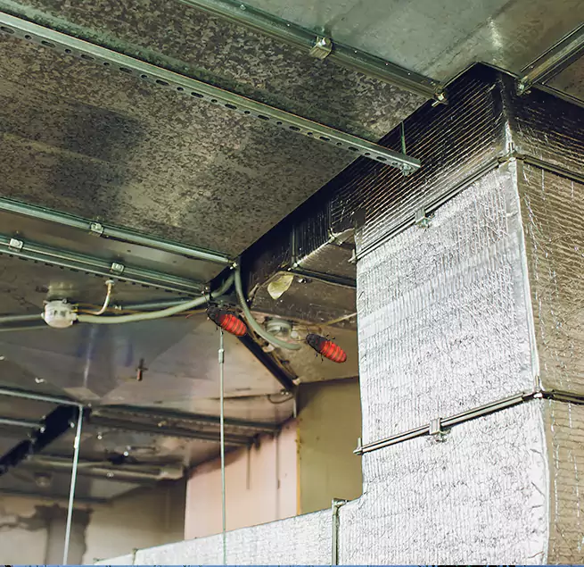 Why Homeowners & Businesses Trust Us in Cloverly, MD?