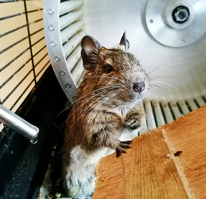 Why Homeowners & Businesses Trust Us Cloverly, MD?