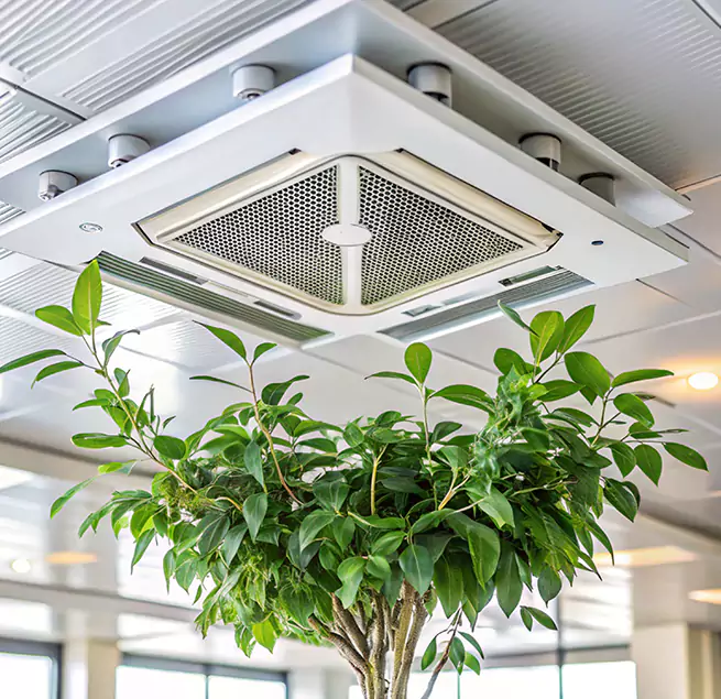 Why Homeowners & Businesses Trust Us in Cloverly, MD